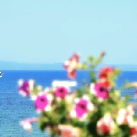 Hotell Belussi &