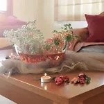 Belussi & Psarou (Zakynthos)