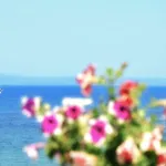 Hotel Belussi &