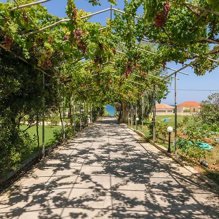 호텔 Belussi & Psarou (Zakynthos)